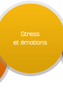 Formations intra - Sur mesure